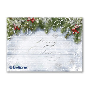 Snowy Sentiment Greeting Cards
