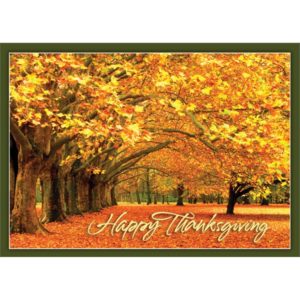 Canopy of Gold Thanksgiving Greeting Card
